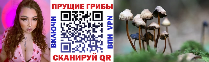 Псилоцибиновые грибы MAGIC MUSHROOMS Уржум